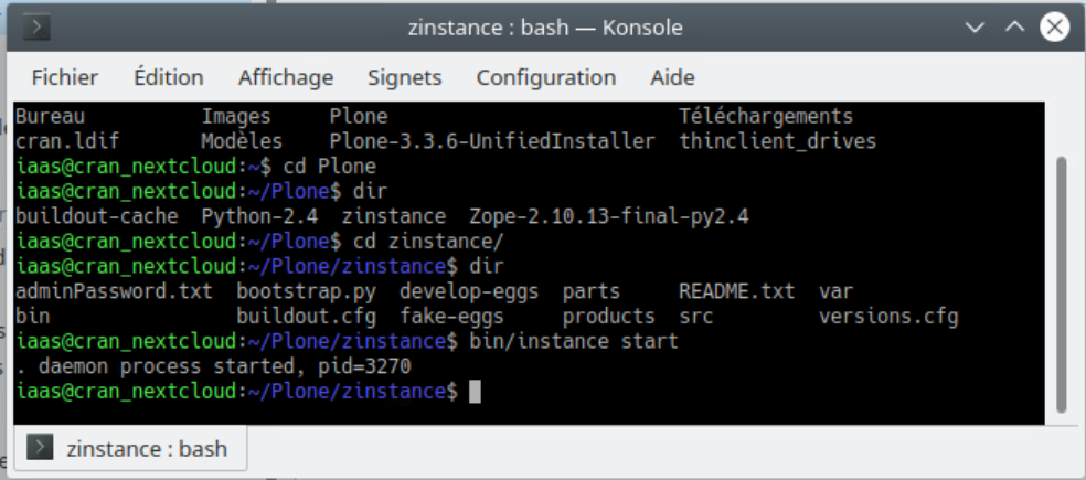 Start Plone Ubuntu